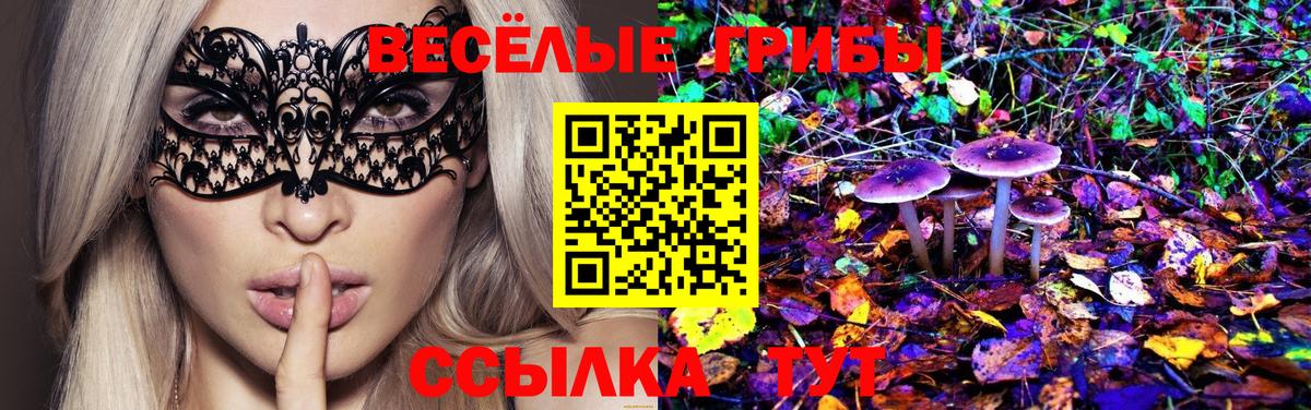 Купить наркоту  Амфетамин   A-PVP СОЛЬ кристаллы  Канабис  Котельники  Метамфетамин  Гашиш  Мефедрон кристаллы  Вход с VPN  COCAIN 